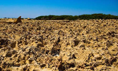 the rocky seashore in the form of rocks and depressions, against the background of the rock, as an abstraction, the image and patterns of nature on the stonesの写真素材