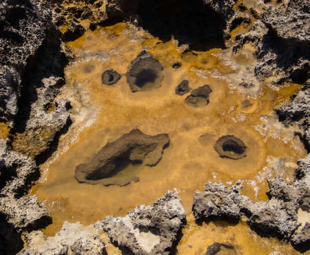 the rocky seashore in the form of rocks and depressions, against the background of the rock, as an abstraction, the image and patterns of nature on the stonesの写真素材