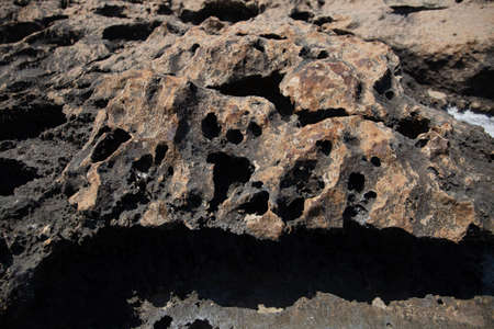 the rocky seashore in the form of rocks and depressions, against the background of the rock, as an abstraction, the image and patterns of nature on the stonesの写真素材