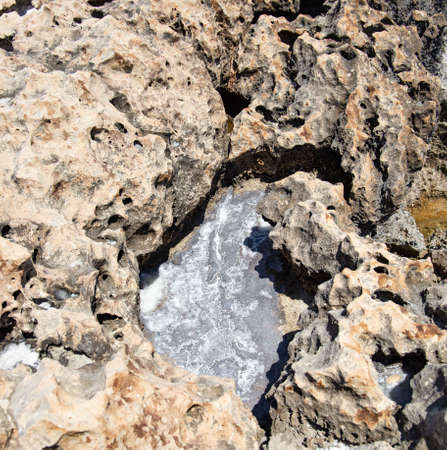 the rocky seashore in the form of rocks and depressions, against the background of the rock, as an abstraction, the image and patterns of nature on the stonesの写真素材