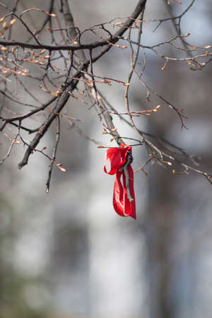 red ribbon tied on a tree branchの写真素材