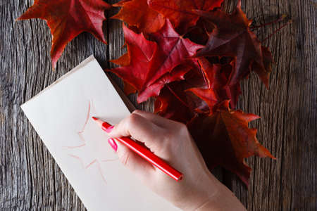 Hand drawing with pen and sketchbook. Autumn leaves on weathered backgroundの写真素材