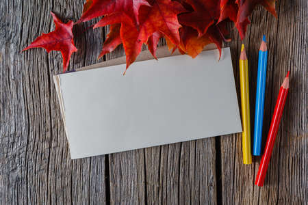 Open sketchbook with pens. Fall on leaves on weathered table, space for inscriptionの写真素材