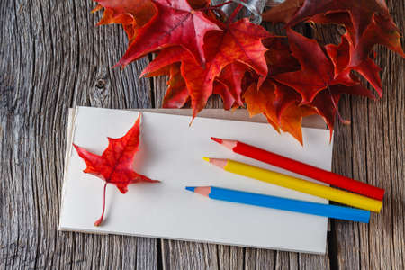 Open sketchbook with pens. Fall on leaves on weathered tableの写真素材