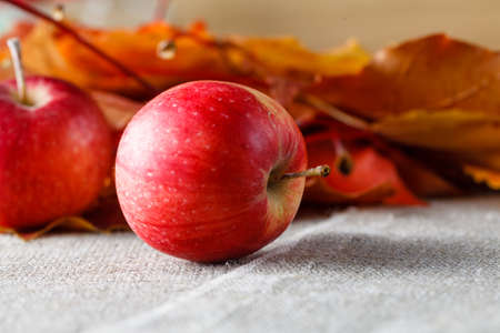 Red apple and leaves