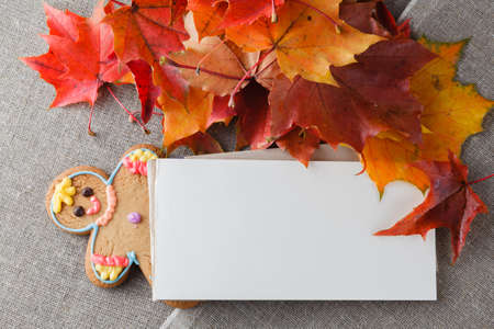 Fall leaves, bright canvas and craft paper fot inscriptionの写真素材