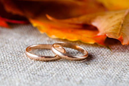 Wedding idea. Decoration of two gold wedding ringの写真素材
