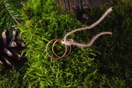 Wedding decoration. Two bound golden wedding rings on green mossの写真素材