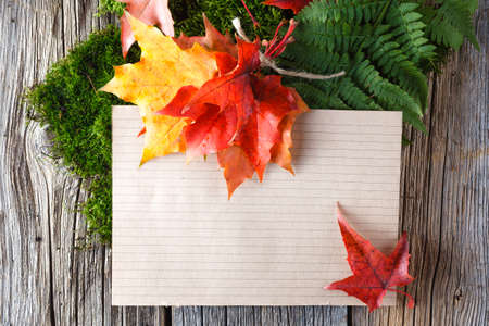 Paper decoration. Place for insert you textの写真素材