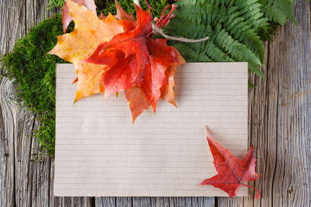 Paper decoration. Place for insert you textの写真素材