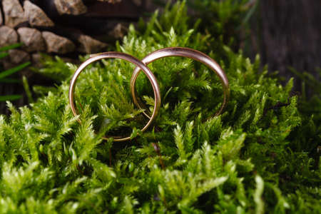 Wedding decoration concept. Two golden wedding rings stand in mossの写真素材