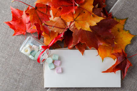 Fall leaves, bright canvas and craft paper fot inscriptionの写真素材