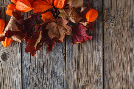 Fall leaves on rustic wooden backgroundの写真素材