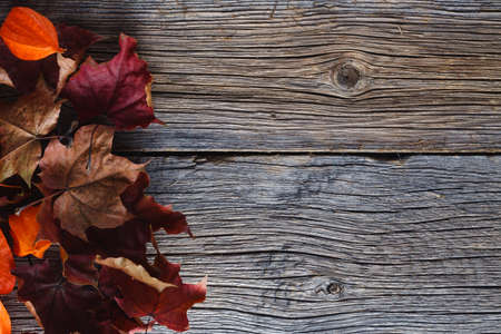 Fall leaves on rustic wooden backgroundの写真素材