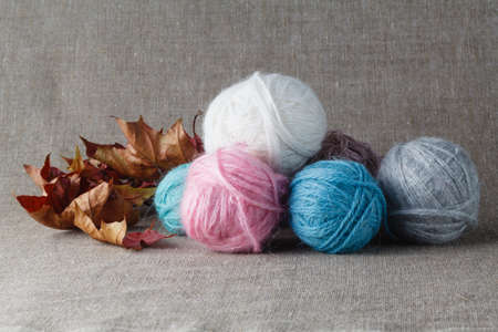 Clews of colored wool yarn with fallen foliageの写真素材