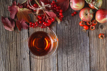 Fall harvesting on rustic wooden background, bright red tonesの写真素材