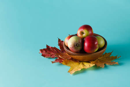 Fall background. Maple leaves on aquamarine shadowless backgroundの写真素材