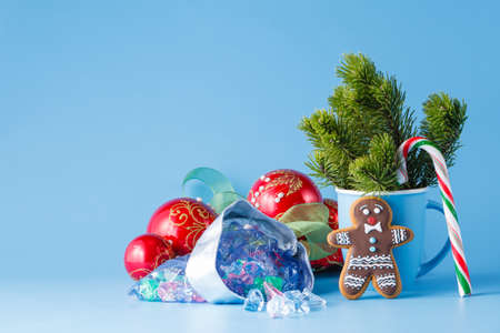 Xmas decoration concept. Pine and present bag on blue backgroundの写真素材