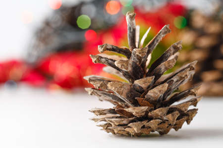 New Year and Christmas scene decoration with pine, cones and stars on white backgroundの写真素材