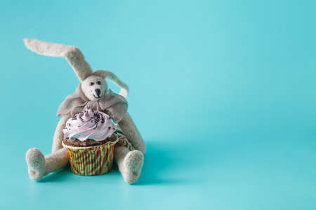 Rabbit doll with cupcake on aquamarine background
