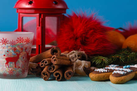 Winter symbol. Red lantern and green pine on aquamarine backgroundの写真素材