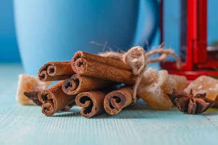Winter symbol. Red lantern and green pine on aquamarine background with cinnamonの写真素材