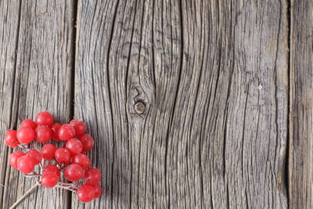 Frozen viburnum berry on rustic wooden background with pineの写真素材