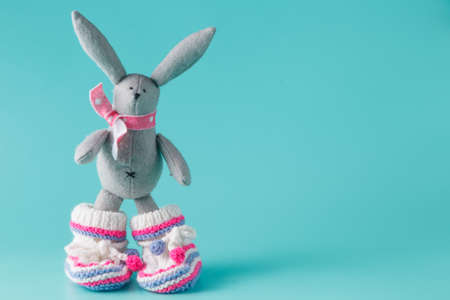 Funny bunny in baby booties on aquamarine backgroundの写真素材