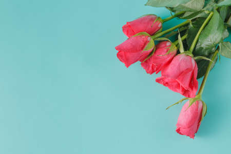 Greeting card concept. Roses on auqamarine mintの写真素材