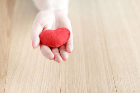 heart in hands, female holds handmade sewn soft toy