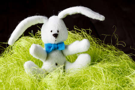 Easter rabbit in green bird nestの写真素材