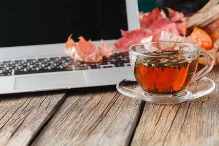Cup of herbal tea on table with laptopの写真素材