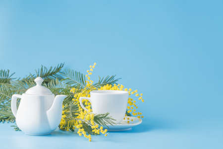 Spring tea drinking with yellow mimosa on blue backgroundの写真素材
