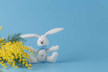 White rabbit and yellow mimosa. Eastern decorationの写真素材