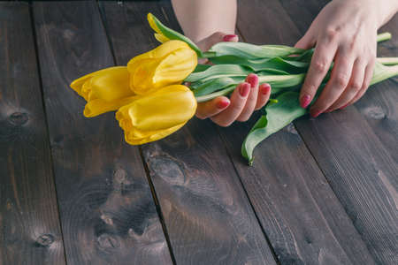 Woman hands holding yellow tulips, dark wood table backgroundの写真素材