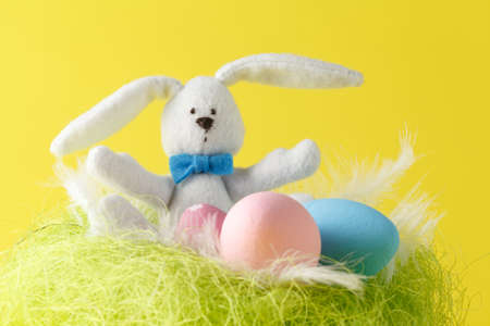 Easter greeting card with easter bunny, grass and eggs in nest