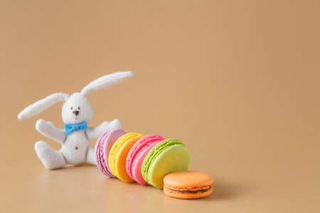 Five Colorful macaroons on beige with white rabbitの写真素材