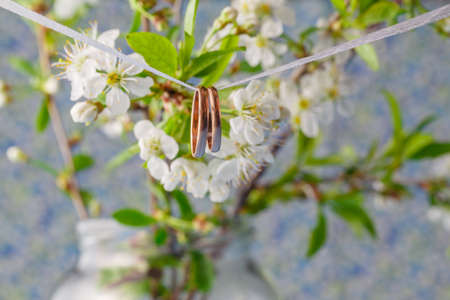 Wedding rings on a branch of cherry flowersの写真素材