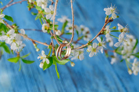 Wedding rings and Flowering branch with white delicate flowers on wooden surfaceの写真素材