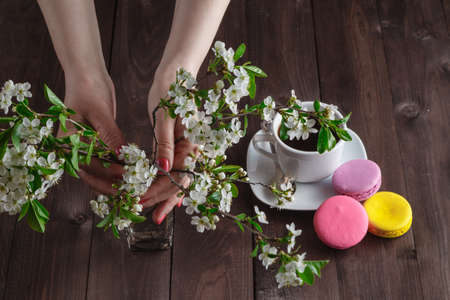 Woman hold branch of cherry. Cup and macaroons on table