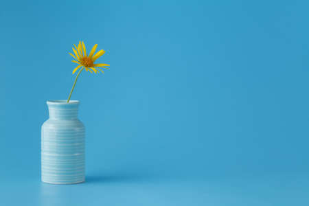 one yellow flower in vaseの写真素材