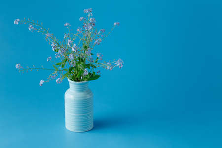 Forget me not flowers in a vaseの写真素材
