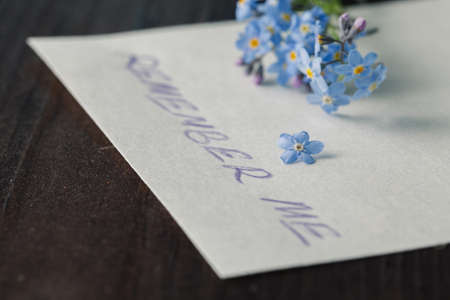 Forget-me-nots flowers on wooden backgroundの写真素材