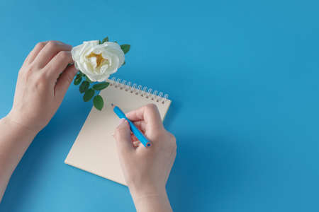 Human hands with pencil writing on paper and see on white wild roseの写真素材