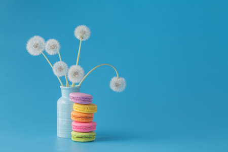pile of multicolored macaroon cookiesの写真素材