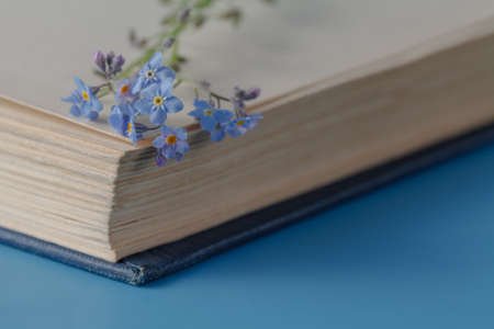 Bunch of forget-me-not flowers and old book