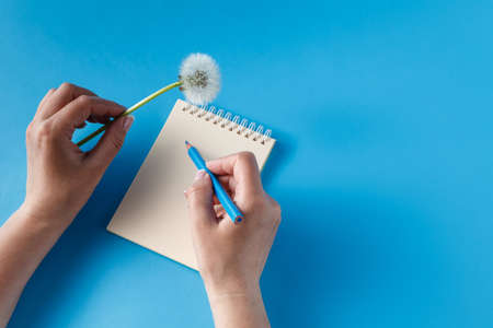 Human hands with pencil writing on paper and hold dandelionの写真素材