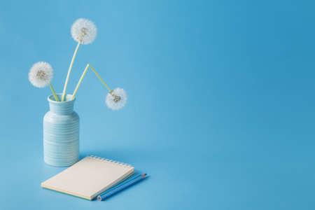 three dandelions simple composition on blue with notebookの写真素材