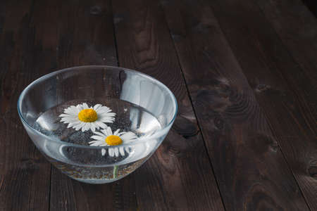 Concept of spa treatment with water and daisyの写真素材