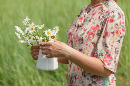 Woman hands hold bouquet of fresh wild daisies in vaseの写真素材